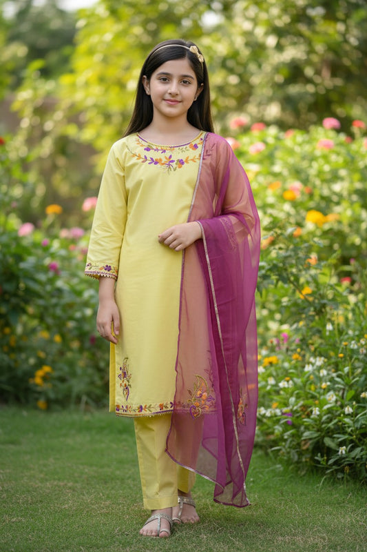 Hazara Multi Hand Embroidery (3 Piece)