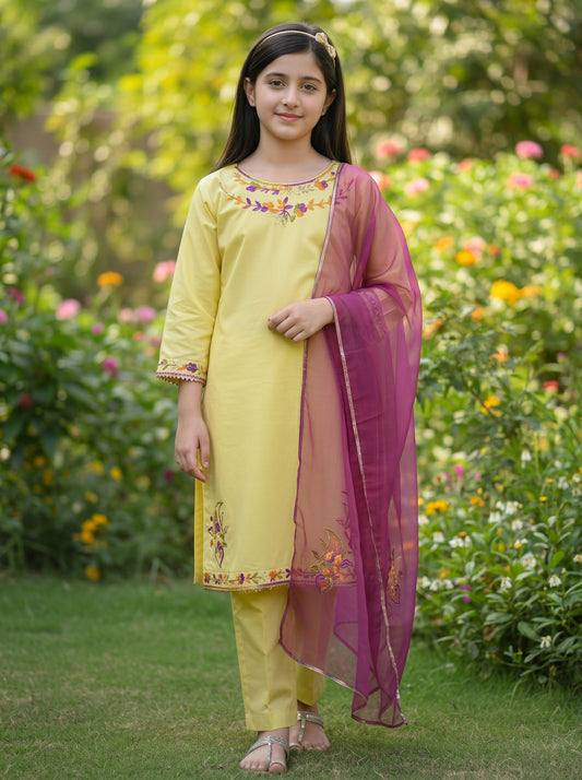 Hazara Multi Hand Embroidery (3 Piece)