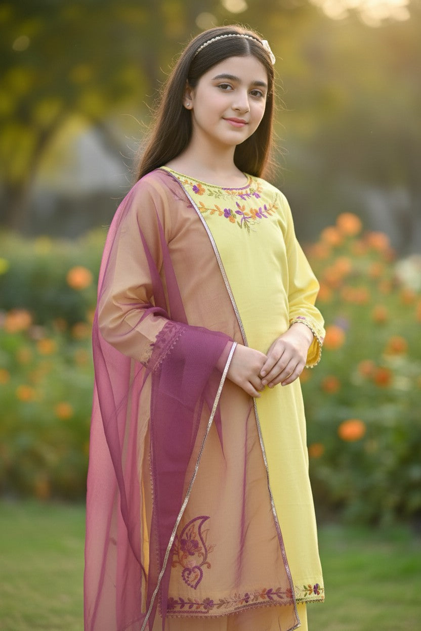 Hazara Multi Hand Embroidery (3 Piece)