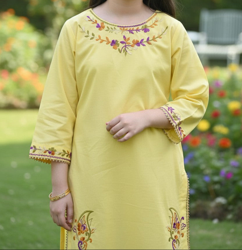 Hazara Multi Hand Embroidery (3 Piece)