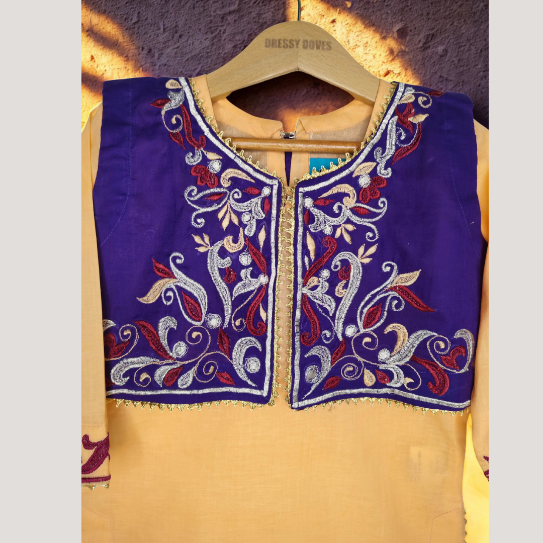 Embroidery 2 piece with kurti (Pink+Blue)