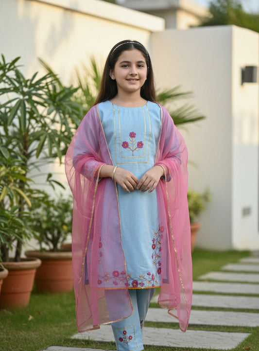 Hazara Sky Blue Hand Embroidery (3 Piece)