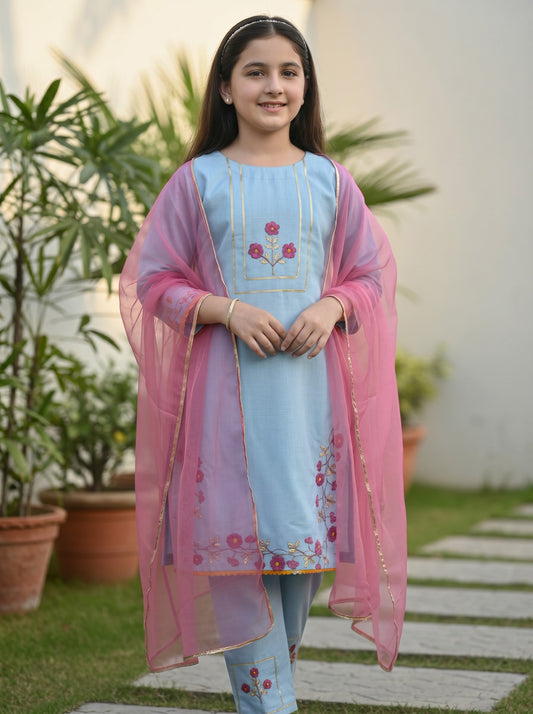 Hazara Sky Blue Hand Embroidery (3 Piece)