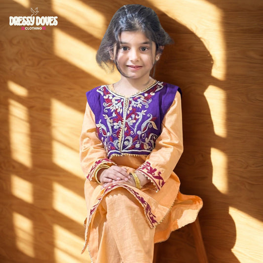 Embroidery 2 piece with kurti (Pink+Blue)