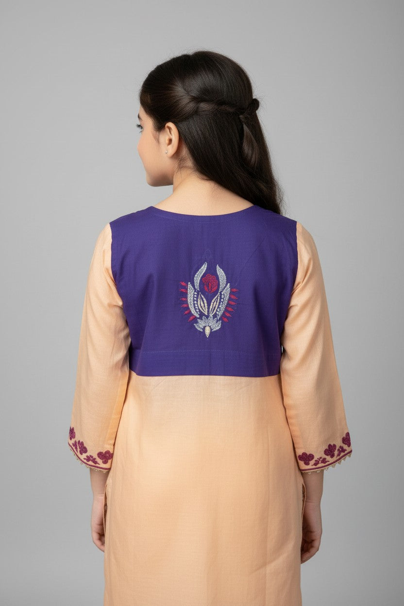 Embroidery 2 piece with kurti (Pink+Blue)